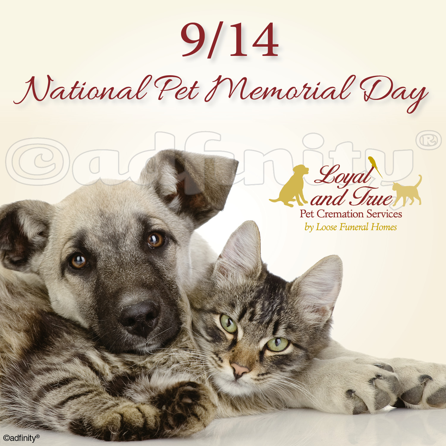 9/14 National Pet Memorial Day adfinity
